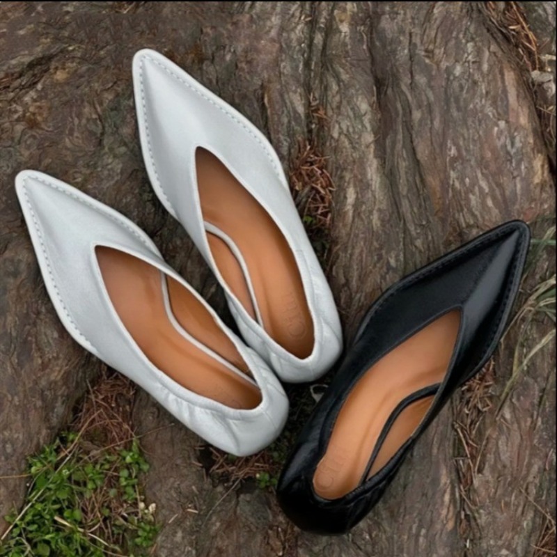 Women'S Fashion For Summer 2025 - 2025 New Pointed Toe Single Shoes